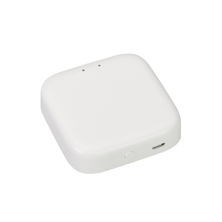 Конвертер интеллектуальный Bluetooth Tuya Smart Life