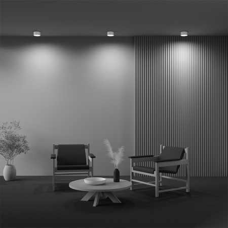 Светильник накладной RONDO 24W White 4000K | Ø220x60mm 