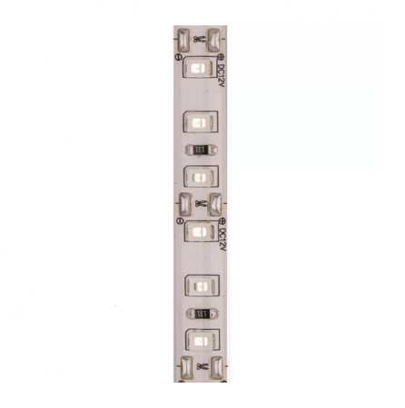 Синий IP65 12V 2835/120 ML (5м)